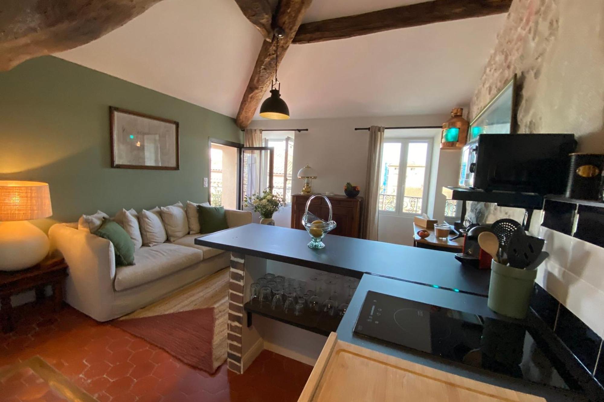 Apartment 06by2 Beautiful Renovated With Terrace Vence